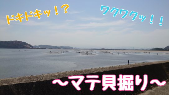 掘り 貝 【2022年版】福岡でマテ貝が採れる潮干狩りスポット！行橋市海岸線（蓑島、長井浜）のまてほりは中止！！